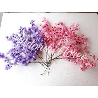 Bougaville árvore francesa maços flores secas 2 maços