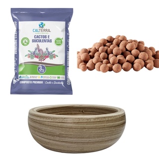 Kit Jardim Arranjo de Suculenta Plantio Pronto e Fácil - 38x13cm Cor Palha