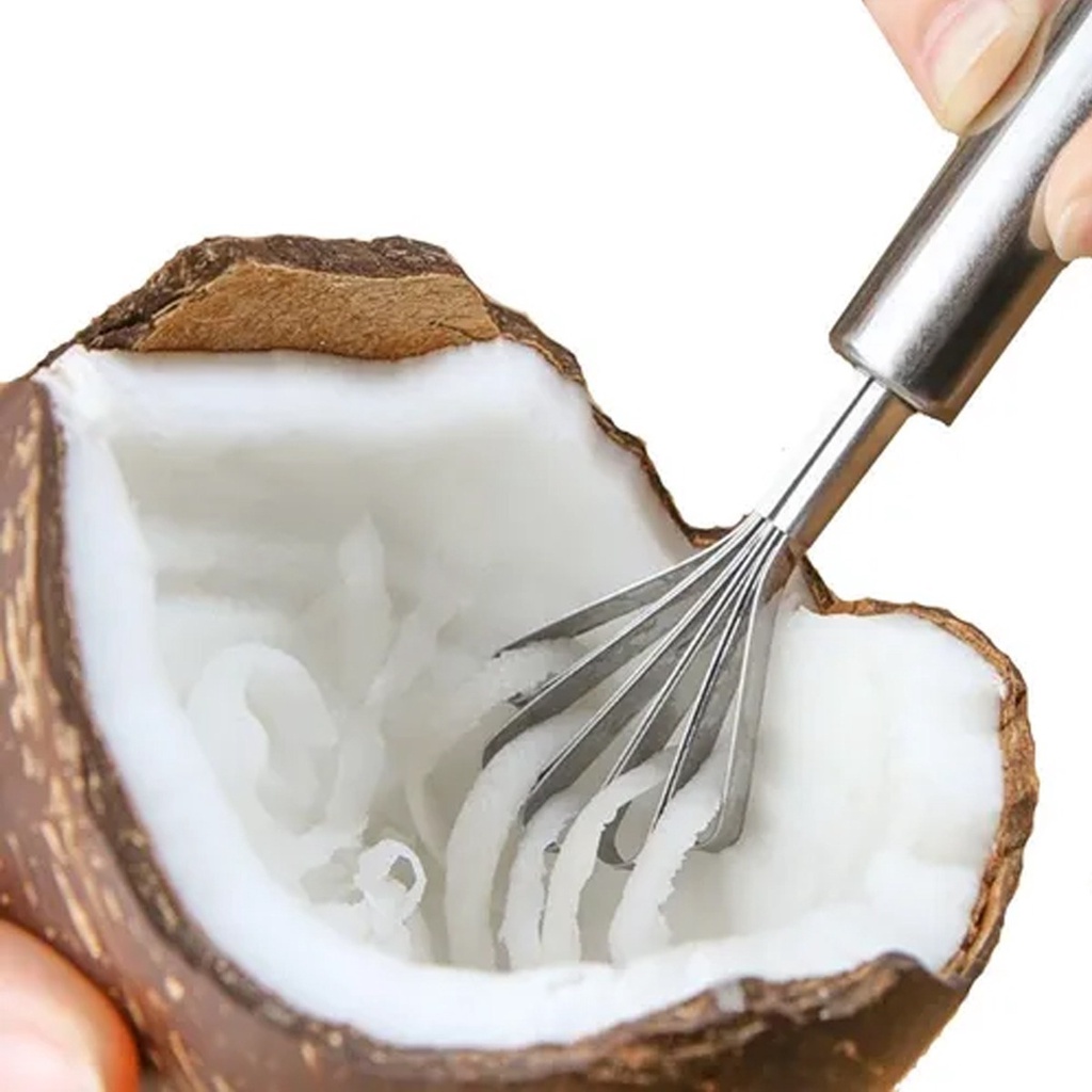 Ralador De Coco Manual Raspador Frutas Aço Inox Multiuso | Shopee Brasil