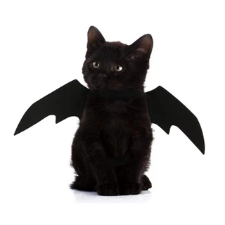 Cosplay Asa De Morcego Cachorro De Estimação Propulsor Gato De Halloween Fantasia De Asas