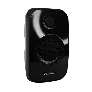 Caixa de Som com Rádio FM MAX-712SP