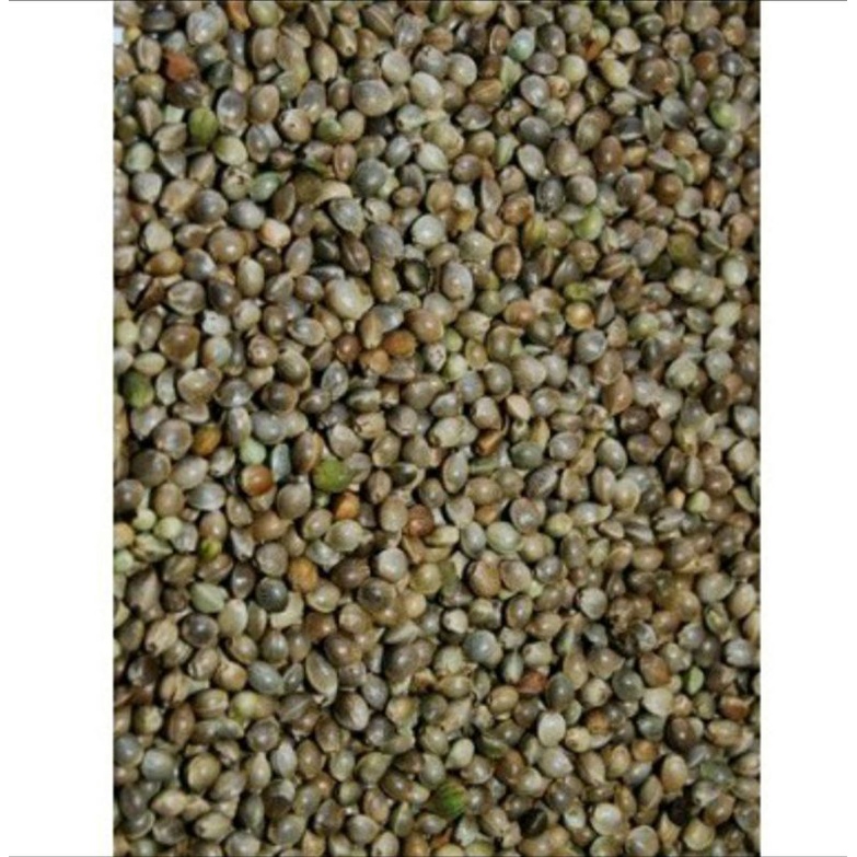 Semente Cânhamo Pequeno, Alimento De Pássaros, 50g | Shopee Brasil