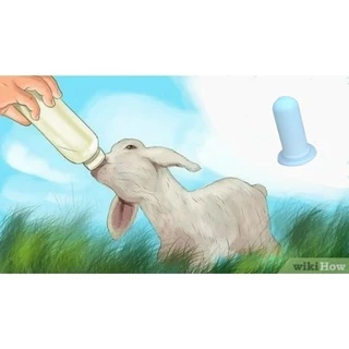 Bico Teteira de Mamadeira P/ Alimentação de Carneiros Ovinos e Suínos