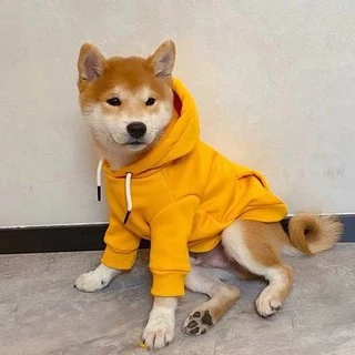 [Super Autêntico] Shiba Inu Dog Fleece Warm Hoodie Winter Clothes Golden Retriever Winter Husky Border Shepherd Samoyed Cão de tamanho médio Outono