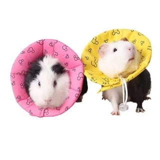 Colar elizabetano/ cirúrgico para roedores (hamster, porquinho da india, rato...) e filhotinho de gato