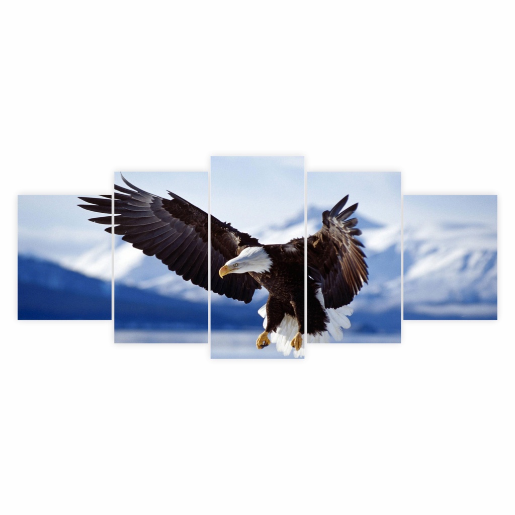 Quadro Decorativo Aguia Grande Pra Sala Quarto Escritorio 5 peças Mosaico Decoração