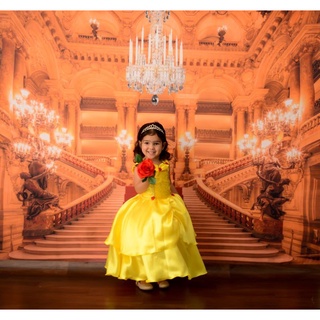 Fantasia Vestido Princesa Sofia Disney Tamanho 3/4 Anos, Roupa Infantil  para Menina Lorcon Usado 91580097