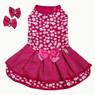 roupa nova em 2023  Roupas, Roupa kawaii, Looks