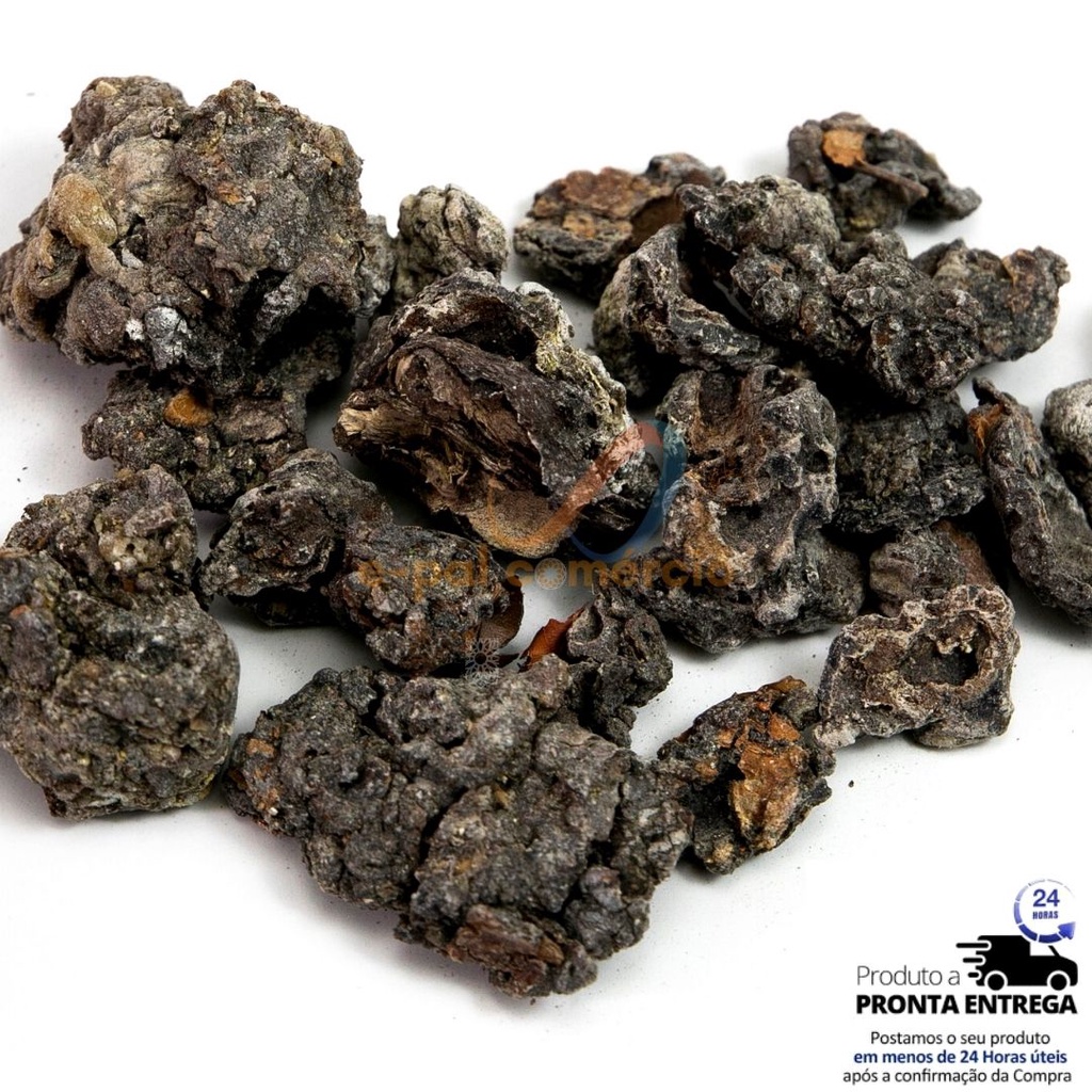 Breu Branco 1kg kilo Resina Vegetal Incenso Almecega - Meditação Defumação
