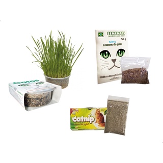 Kit Estimulante P/ Gato Graminha Semente Erva Catnip Natural