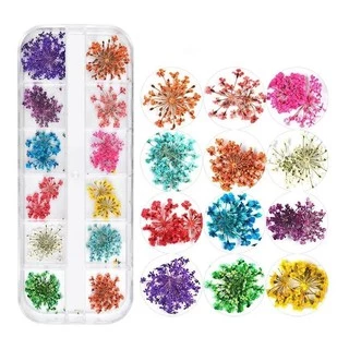 Flores Secas Encapsulamento Unhas Decoração Cores Uv Led Grande