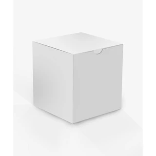 Caixa Para Caneca Porcelana Sublimação 100 Unidades