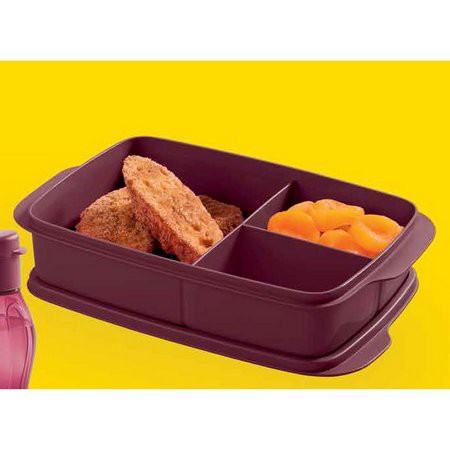 Tupperware Basic Line com Divisória - 1litro | Shopee Brasil