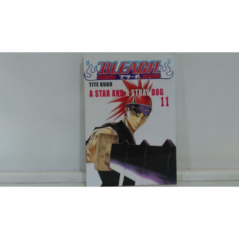 BLEACH Manga Volume 11