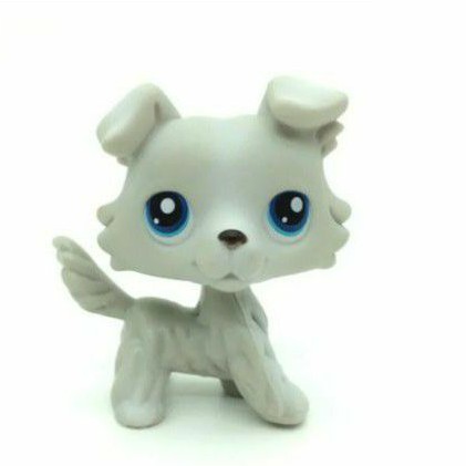 Littlest Pet Shop Lps Cachorro Border Collie Cinza Olho Azul