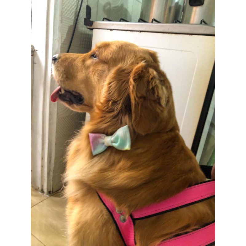 Expositor com Produtos Zuu Pet Shopee Brasil