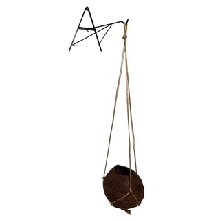 Kit Suporte A Para Parede + Kokedama Fibra De Coco Suspenso