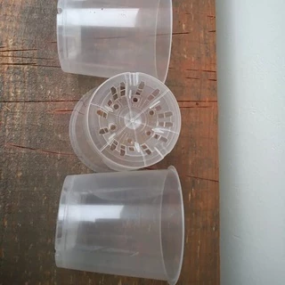 Kit 10 Vasos Médios P/ Orquídeas Transparentes Plástico 10cm