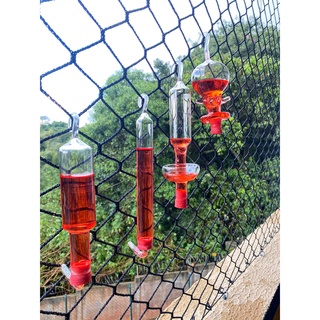Combo Bebedouros Americano De Vidro Para Beija Flor + Nectar