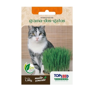 Sementes de Grama dos Gatos 1000 sementes