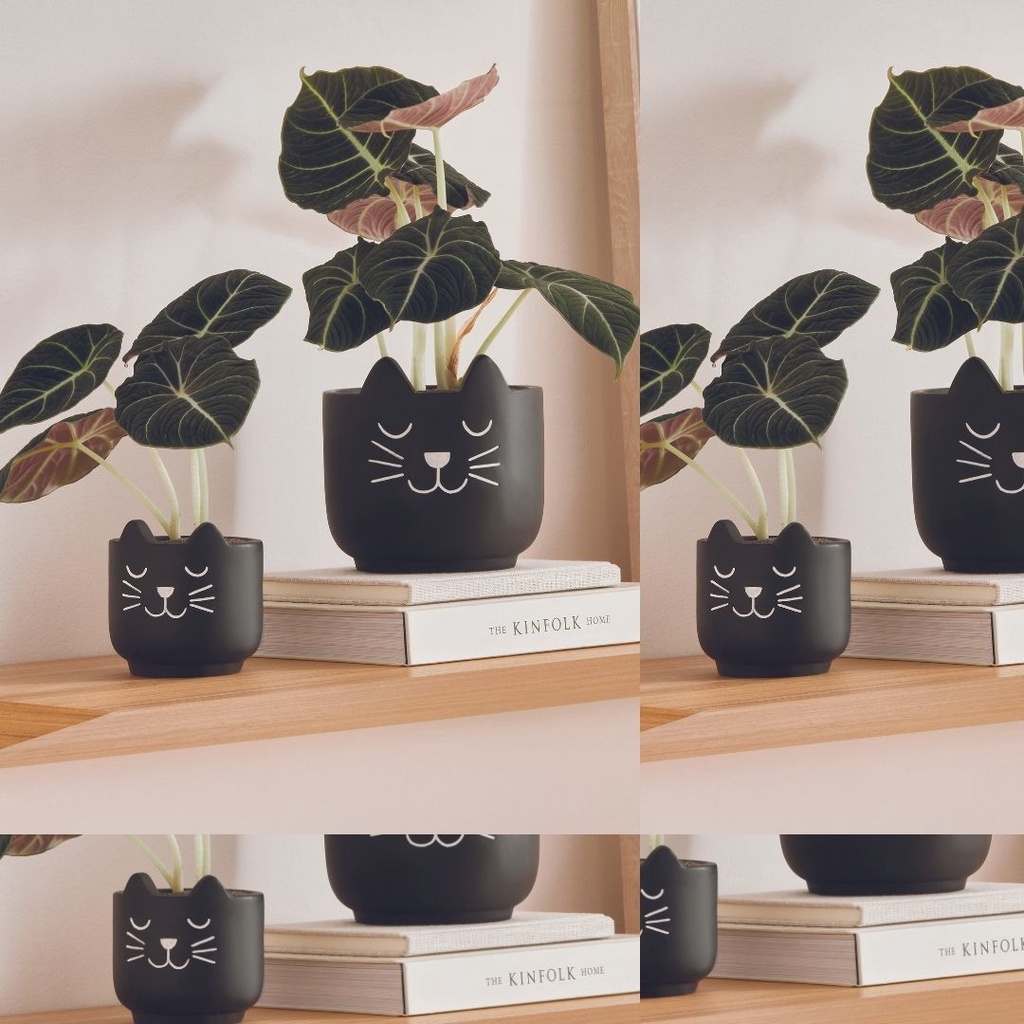 Vaso Cachepot Gato em Cimento Terracota 10cm-Ela Decora