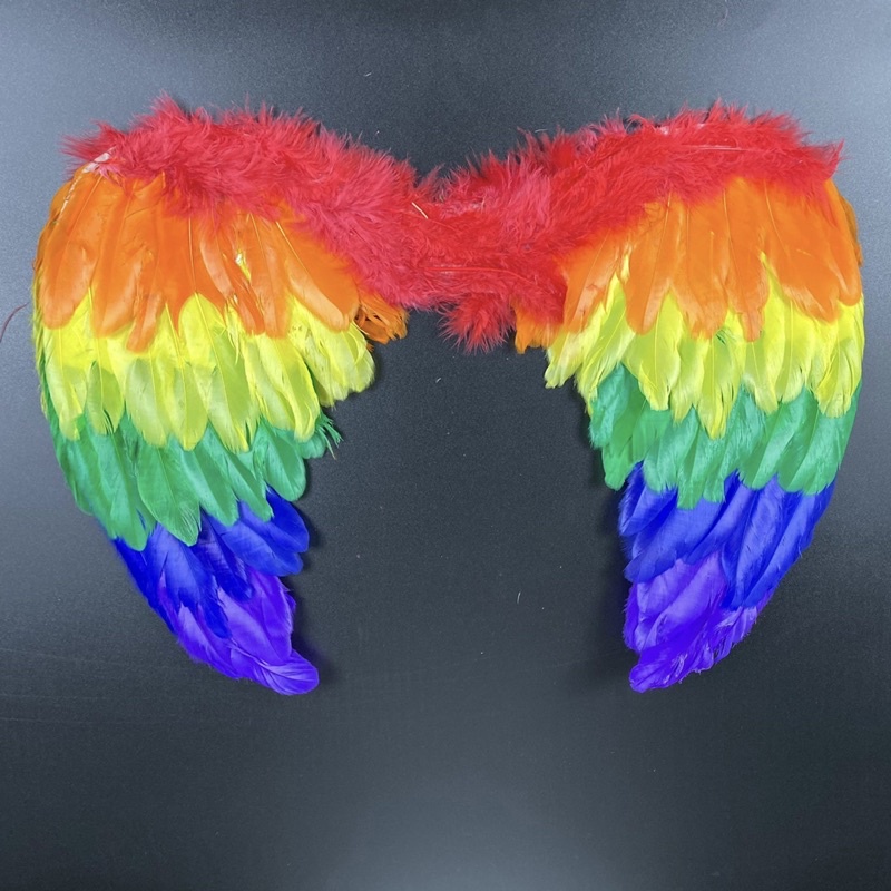 Asa De Anjo Colorido Para Cosplay -Adultos