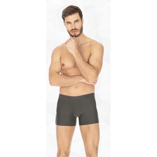kit 10 Cuecas Boxer Microfibra Poliamida Adulto Lisa