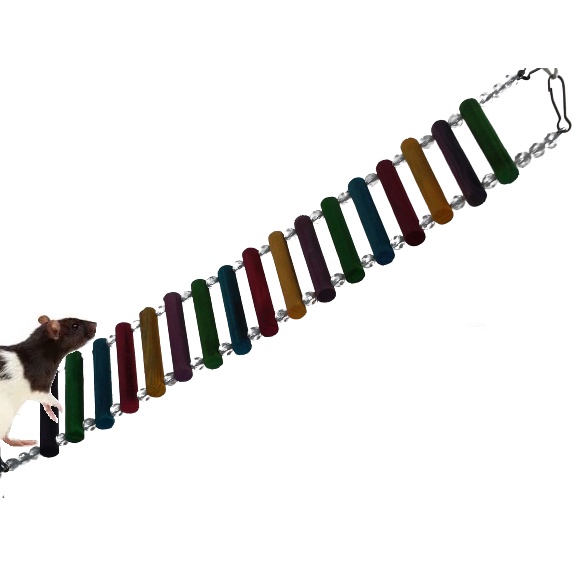 NUSITOU Escada De Escalada Para Hamster Brinquedos De Madeira Brinquedos  Para Periquito Brinquedos Para Mastigar Escada Para Hamster Anão Brinquedos  Para Mastigar Escada De Hamster