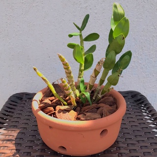 Vaso Cerâmica Furado Barro para Orquídeas e Plantas 9x18cm