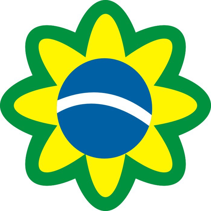 Adesivo Bandeira do brasil Forma de Flor - 16x16cm