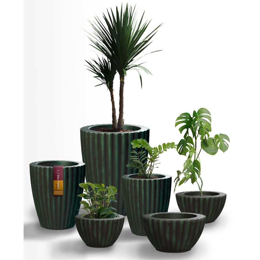 Vaso de Planta Decorativo Família Coluna Romana