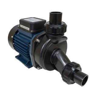Motobomba para hidromassagem centrifuga 3/4CV ECH-75I Eletroplas