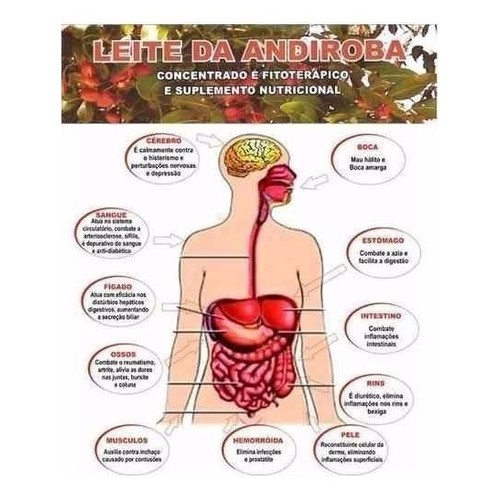 Leite de Andiroba Original 30 cápsulas de 500mg 100% Natural