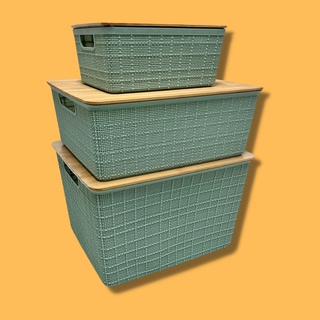 Plastic Rattan Storage Box Basket Organizer Large, ba426