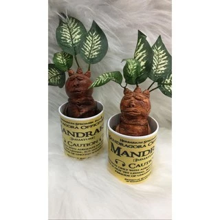 Mandrágora Decorativa filme Harry Potter 100% artesanal