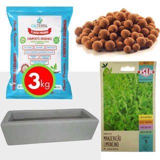 Kit Horta Plantio Fácil de Manjericão e Jardineira Cimento