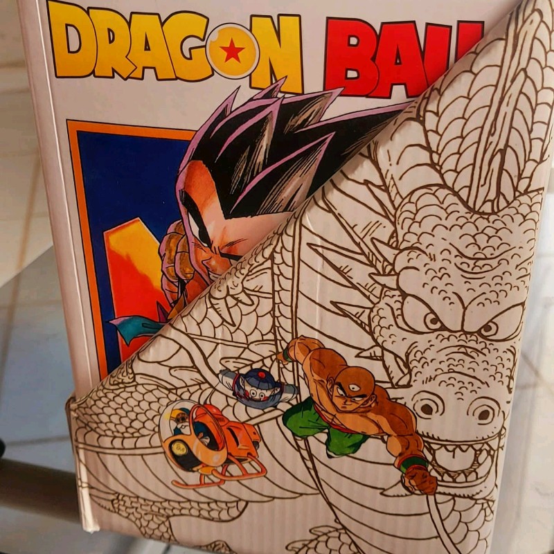 BOX - Dragon Ball - Completo 42 Volumes. (Papel Jornal)