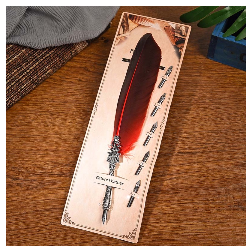 Caneta Tinteiro Pena Estilo Antiga Vintage Retrô 6 Ponteiras Luxo