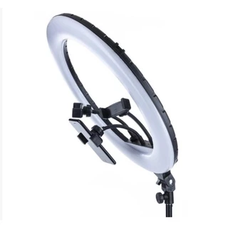 Ilumina ção Anel Luz 8 Polegada 20cm semTripé Suporte Celular  marisa em Oferta na Shopee
