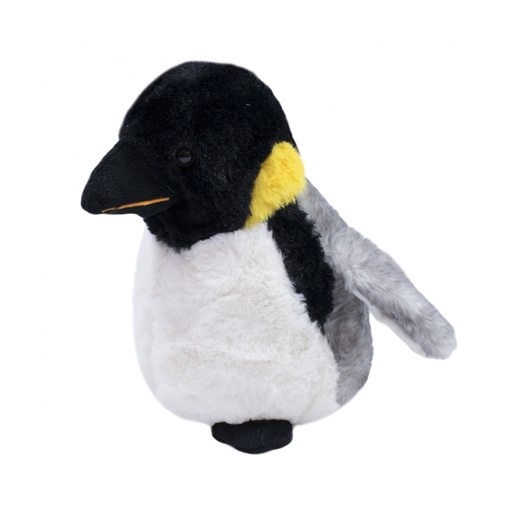 pinguim tem joelho em Promoção na Shopee Brasil 2023