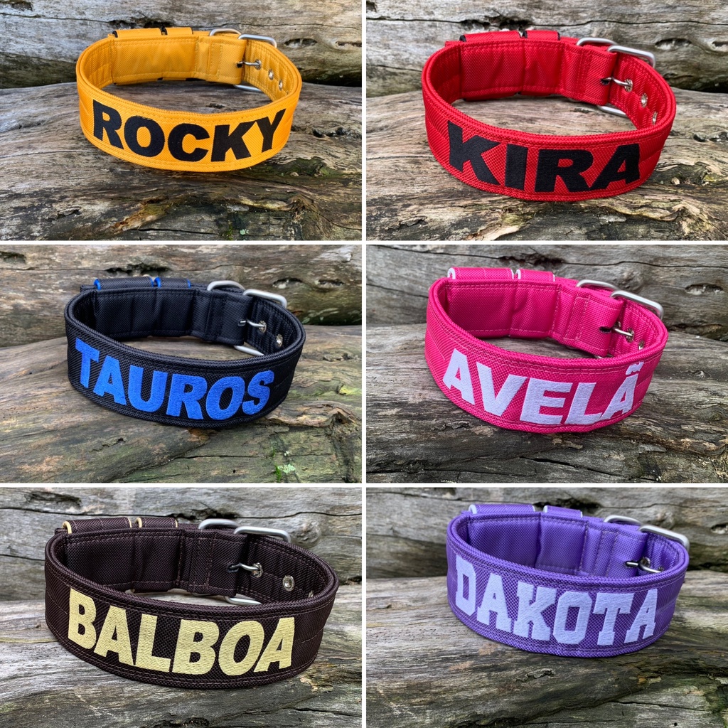 Coleiras Personalizada Para Pitbull, Diversas Raças Petspace