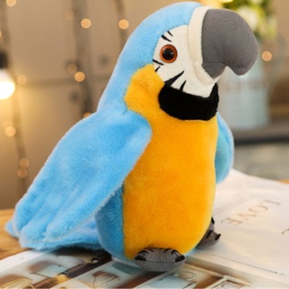 Brinquedo mini ferrule engraçado para papagaio inteligência jogo  desenvolvimento colorido anéis atividade pássaro treinamento de atividade  de navio drop