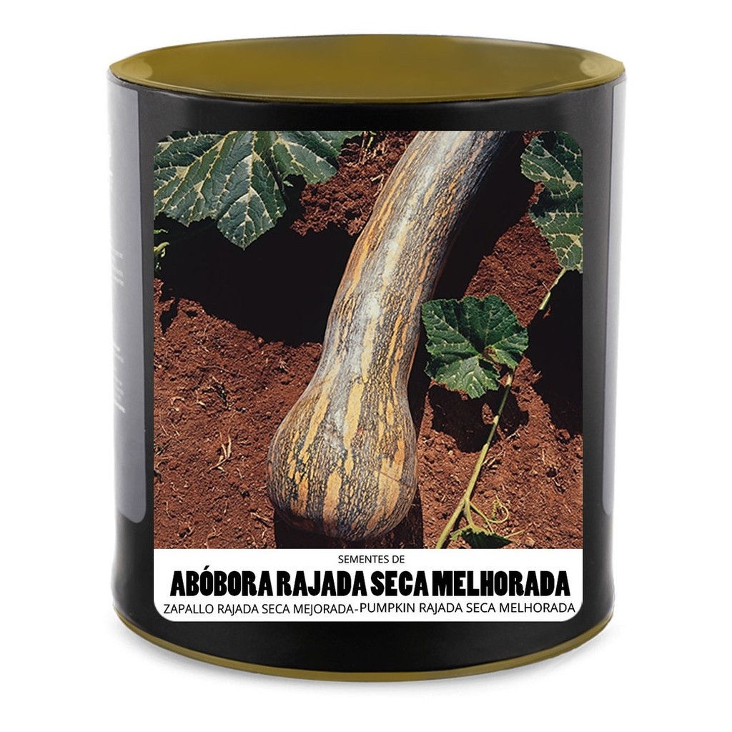 Lata De Sementes De Abóbora Rajada Seca Melhorada 100g | Shopee Brasil