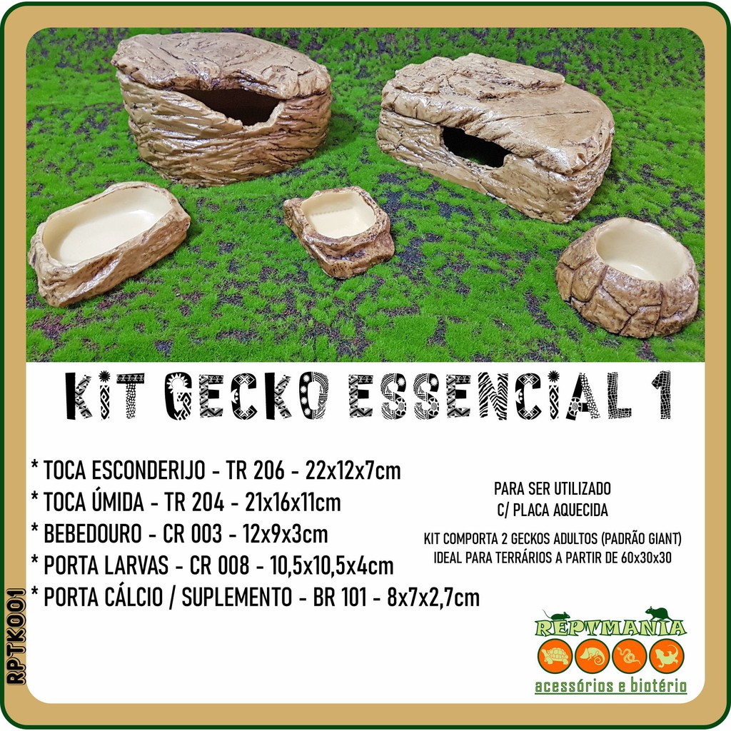 Kit Gecko Leopard Essencial 1, Réptil, Reptmania