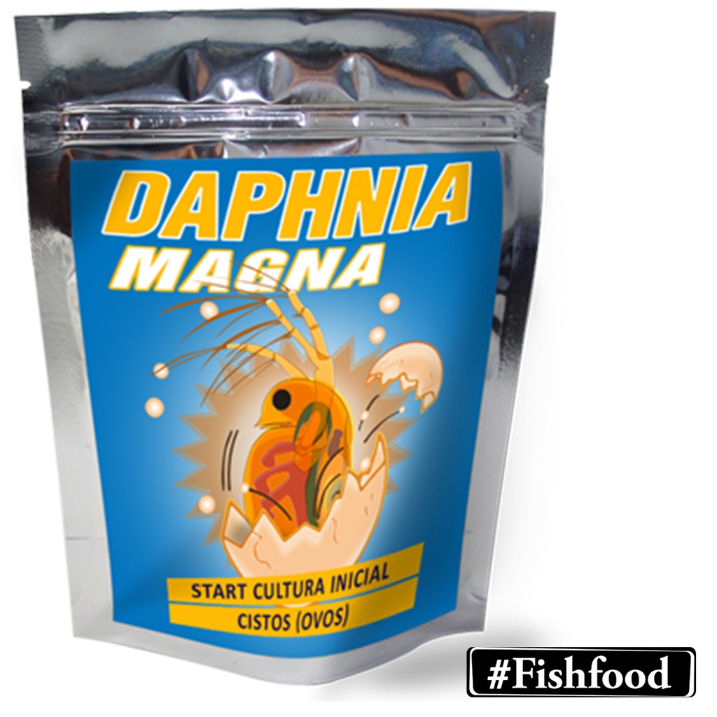 Daphnia Magna Cultura Inicial Cistos Ovos