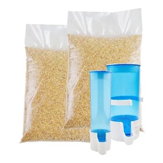 Kit Combo Painço Semente Para Pássaros 2kg Com Comedouros Malha Larga