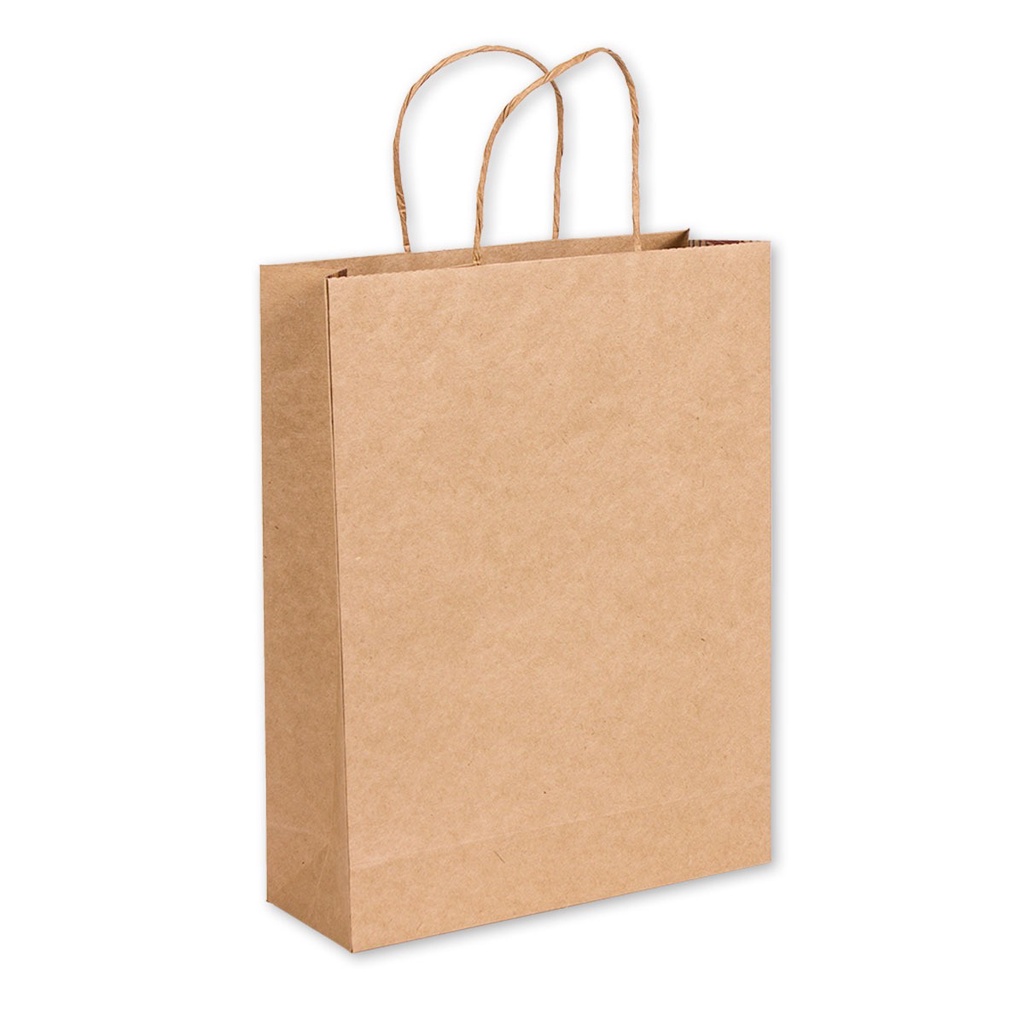Sacola Papel Kraft Alça M 23x30x10cm 100und