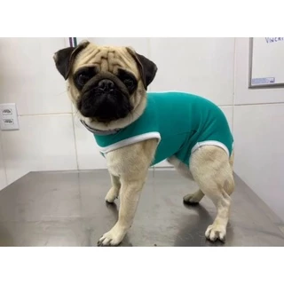 Roupa Pós-cirúrgica Gatos e Cão, Gatos e cachorros