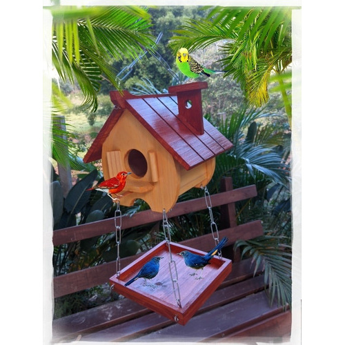 Comedouro Tratador Pássaros Livres Casinha De Passarinho Mt