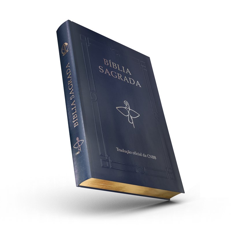 Biblia Sagrada CNBB Luxo - Letra Grande Traducao Oficial | Shopee Brasil